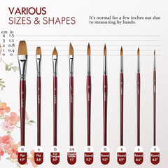 Sable Paint Brushes Professional Watercolor Paintbrushes Set for Artists 9Pcs, I