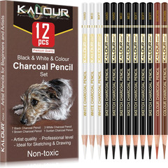 Colored Charcoal Drawing Set, 12 Pastel Chalk Pencils for Sketching and Shading