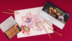 Lyra Rembrandt Polycolor Art Pencils Set Of 12 Pencils Assorted Colors 2001120