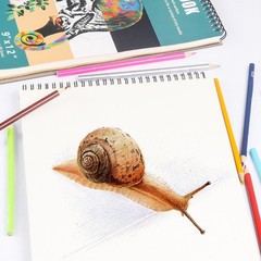 60 Sheets Drawing Pad Wire Binding for Easy Turn with Three Colors of Paper