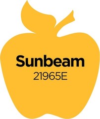 Multi Surface Acrylic Paint, 2 oz, Sunbeam 2 Fl Oz
