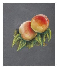 Clairefontaine Pastelgrain Textured Pastel Paper | Artist Drawing Pad 360gsm