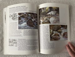 How to Make a Painting In Watercolor Instruction Book by Irving Shapiro