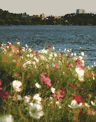 Paint by Numbers Kit for Adults Beginner,Seaside Wildflowers Paint by Number Kit