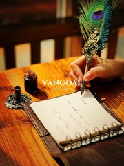 VANGOAL Steampunk Feather Pen and Ink Set with Gift Box, Vintage Quill Pen fo…
