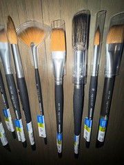Princeton Aqua Elite 21 Brush Lot – Synthetic Kolinsky Watercolor Great Variety