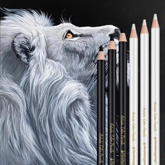 12 PCS Black White Colored Sketching Pencil Drawing Shading Blending Art Tool