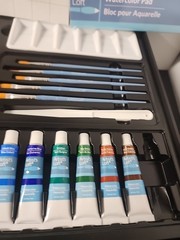Artist’s Loft Mixed Acrylic And Watercolor Set Read Description