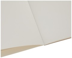 Strathmore 475-3, 400 Series Bristol, 2-Ply Vellum, 9×12 Tape Kitchen