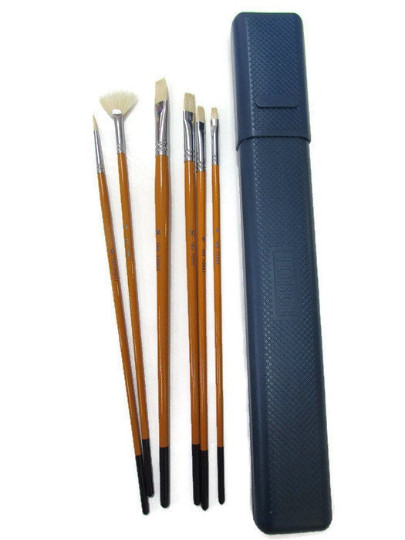 6 pcs Artist Quality Brush Set White Bristle Hair Oil-Acrylic Plus Case