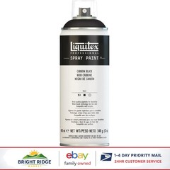 Professional Acrylic Spray Paint, 12oz Can for Interior and Exterior Use