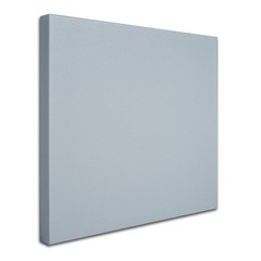 Professional Blank White Canvas