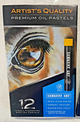 Highly Pigmented Premium Artists Oil Pastels Sargent Art 12 Colors Lot Of 3 New