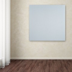 Professional Blank White Canvas