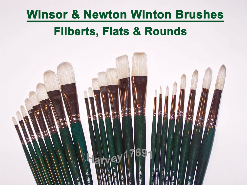Winsor & Newton Winton Oil & Acrylic Brushes – FILBERTS, FLATS & ROUNDS – Choose