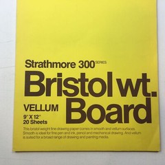 Strathmore 300 Series Bristol Wt. Board Vellum 9″x12″ 20 Sheets Drawing Art Pain