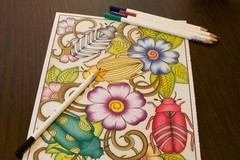 Tombow Irojiten Single Colored Pencil Rainforest Set Individual Colors