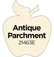 Pintura Acrílica 60ml Color Pergamino Antiguo Mate para Arte y Manualidades