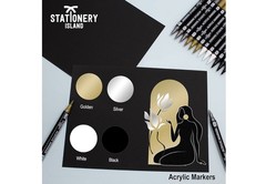 Acrylic Paint Pens 12 PCS – Metallic Gold Silver White Black, Dual Tip Markers.