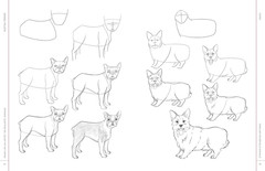 Draw like an Artist: 100 Realistic Animals: Step-By-Step Realistic Line Drawing