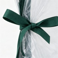 Waterproof Clear PVC Plant Grow Tent with Metal Frame, Wind Resistant
