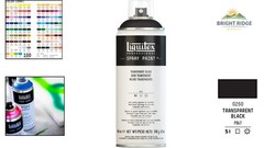 12-oz Professional Spray Paint, Transparent Black for Masonry and Wood Surfaces