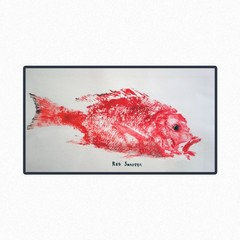 DIY Fish Printing Kit – Taxidermy Alternative – Gyotaku Art Gift – 10ft of Paper
