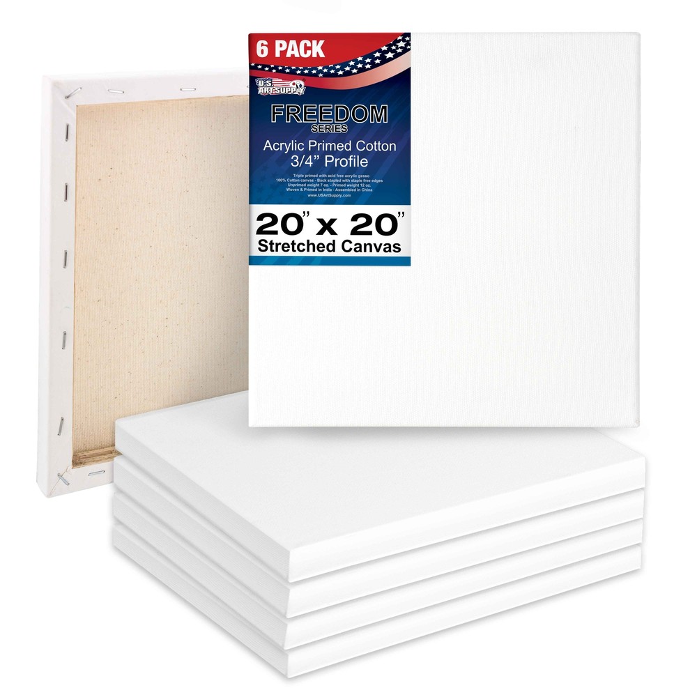 6 Pack of US Art Supply 20″ x 20″ Acrylic Primed Cotton Duck Stretched Canvas