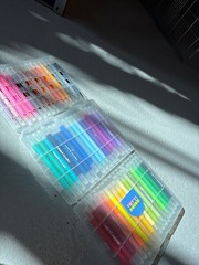 Dual-Tip Brush Marker Set in Plastic Case – Mondo Llama