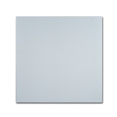 Professional Blank White Canvas