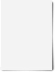 NEW 100-PACK Royal Brites 22″x28″ White Poster Board 11 pt 250 gsm 2-Side 23408