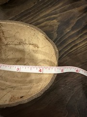 Natural Coconut Shell Halves set of 10
