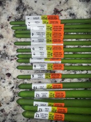 Artist’s Loft Firenze 15 Paint Brushes Level 3 + New brush cleaner/preserver