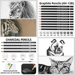 Drawing Sketching Pencil Set, 24 Piece Pro Artist 1 Count (Pack of 24), Black