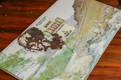 Rare Vintage 1980’s Rexel Cumberland “Derwent Artist Fine Art Colour Pencils”