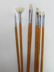 6 pcs Artist Quality Brush Set White Bristle Hair Oil-Acrylic Plus Case