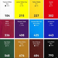 Heavy Body Acrylic Thick Art Paint Slow Drying Speed 2 Oz Tubes 12 PCS