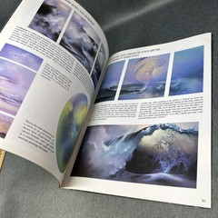 Vintage Walter Foster Paint The Ocean Oil Painting Guide Irene Lumgair Paperback