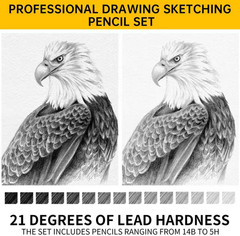 Drawing Sketching Pencil Set 21 Pack Art Pencil Kit with Graphite Pencils (14B-5
