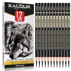 Professional Charcoal Pencils Drawing Set -12 Pieces Soft Medium and Hard Ch…