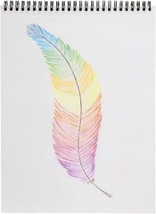 LYRA Waldorf Selection Giant Triangular Colored Pencil, Unlacquered, 6.25…