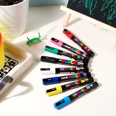 Posca Paint Markers, 5M Medium Acrylic Markers with Reversible Tips, Artist Reco