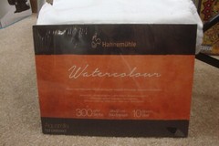 Hahnemuhle Collection Watercolor 300 9.4×12.6 Inch 300 g/m Aquarelle Hot Pressed