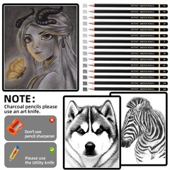 GETFOO Drawing Sketching Pencil Set 21 Pack Art Kit with Graphite…