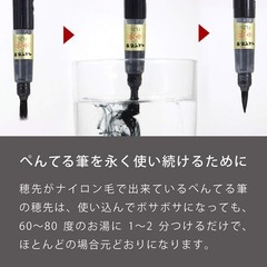 Pentel Pigment Ink Brush Pen Extra Fine for Calligraphy and Manga Art