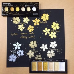 Watercolor Paint Set 6 Colors Artist Pigments for Illustration & Craft