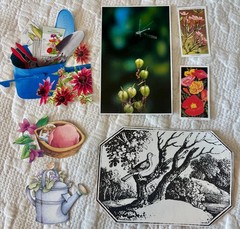 Pkg of 100 Fussy Cut Garden Items- Asst Styles Sizes Paper Crafts, Junk Journals