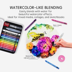 12 Colors Water Soluble Pastels, Watercolor Pastels Set for Beginners and Hob…