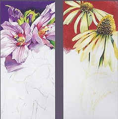 Caran d’Ache Neo color I 15 color set 7000-315 [Japan genuine]