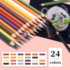 Pastel Pencils,Colored Charcoal Pencils Drawing Set, Skin Tone Colored Pencils,C